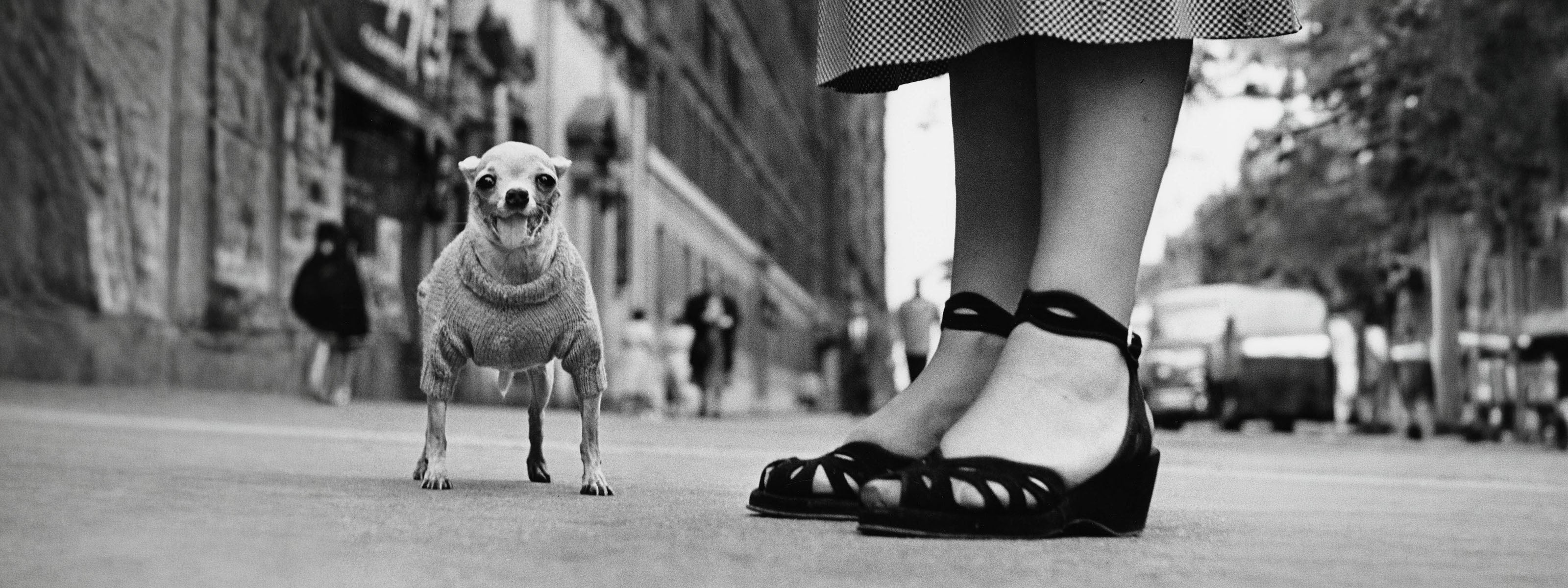 Elliott Erwitt - People, Places, Moments