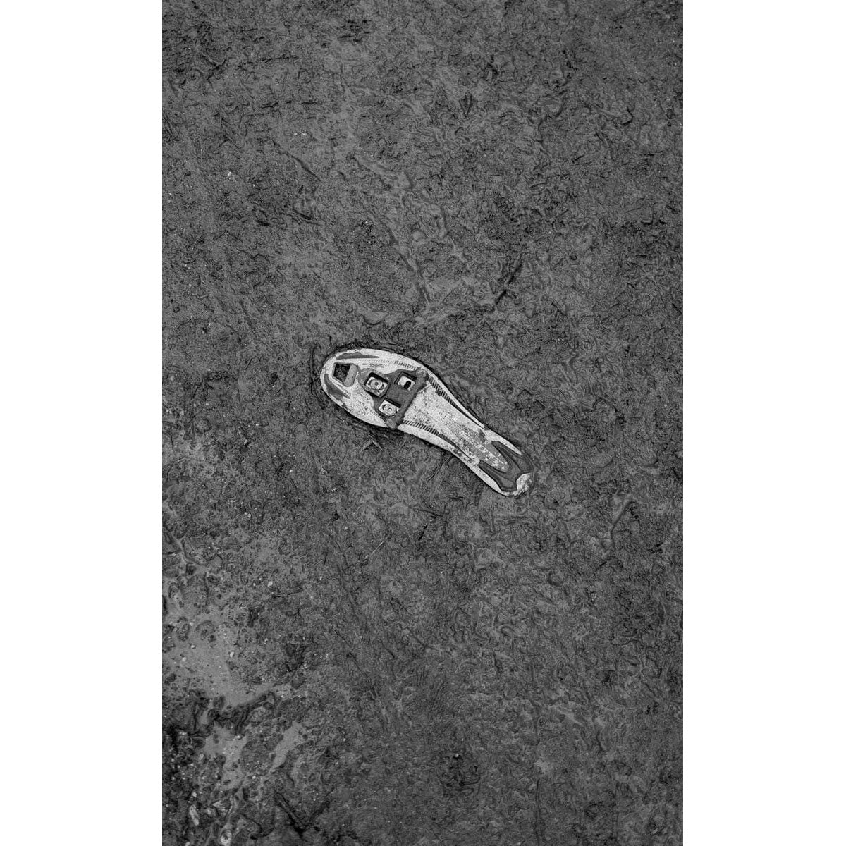 Vlaanderen - Lukas Piel