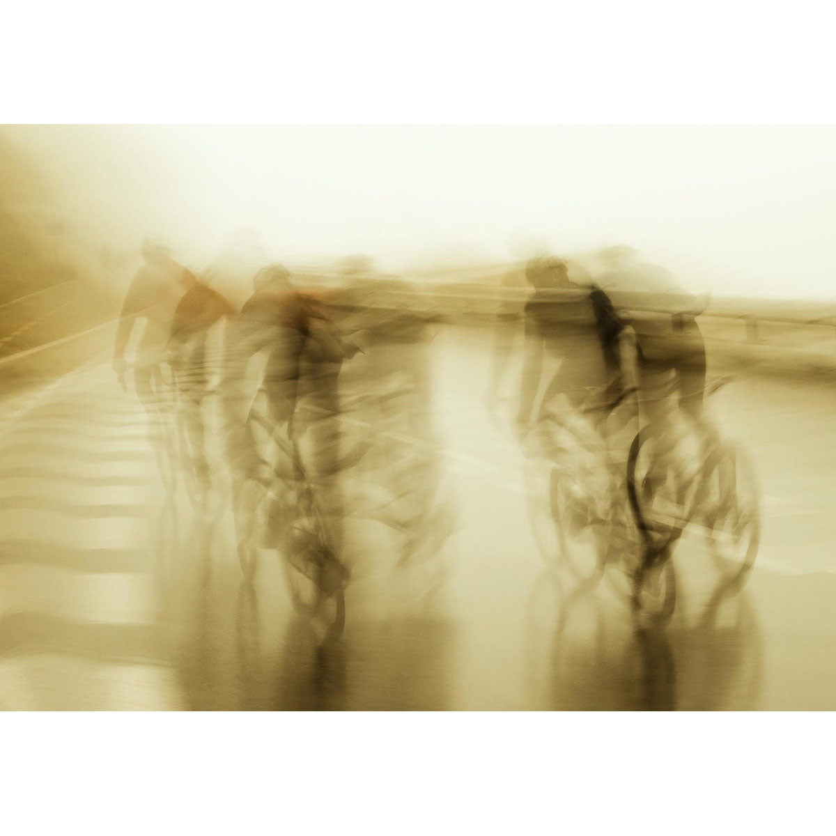 The Art of Cycling - Lukas Piel