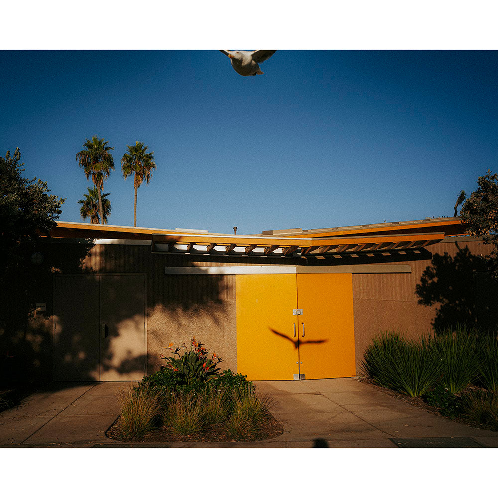 Seagull at 12 o'clock, Santa Barbara, 2022 - Philipp Reinhard