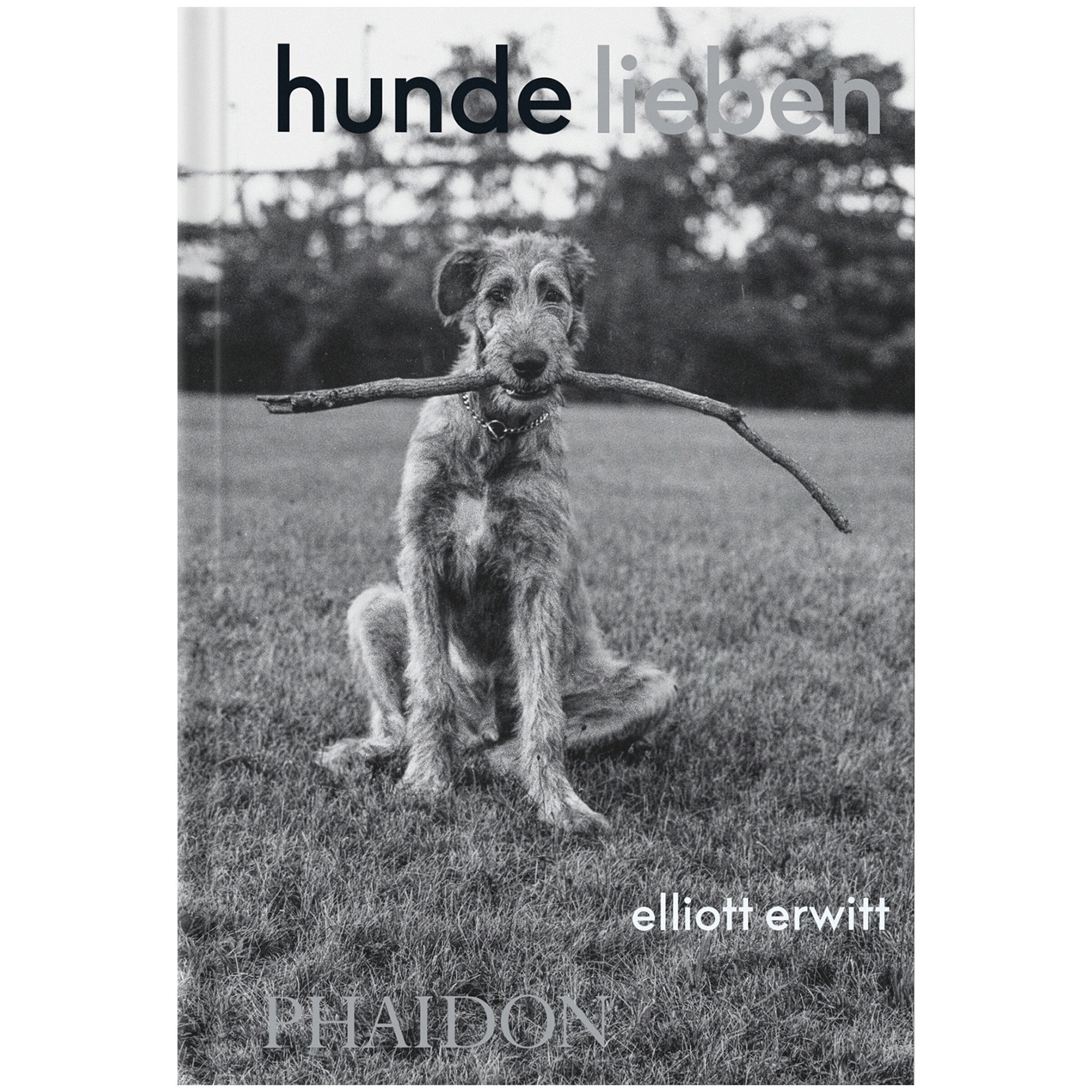 Elliott Erwitt - Hunde lieben