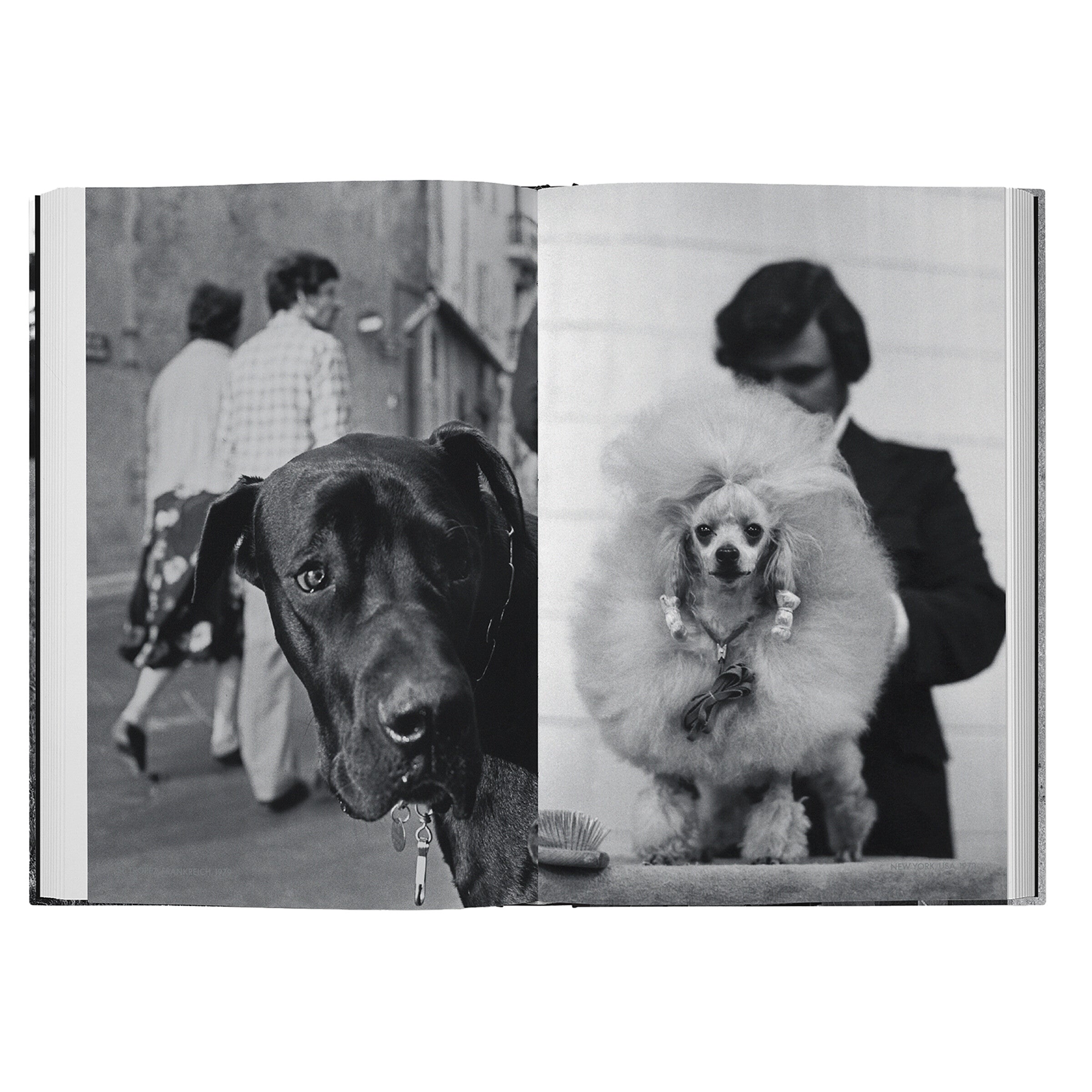 Elliott Erwitt - Hunde lieben