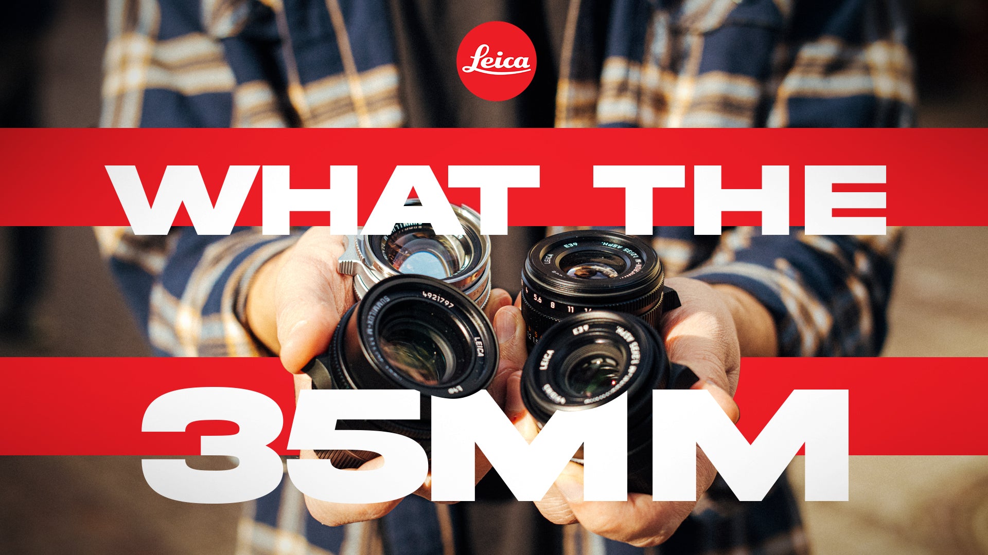 Vergleich: vier 35mm M Objektive von Leica