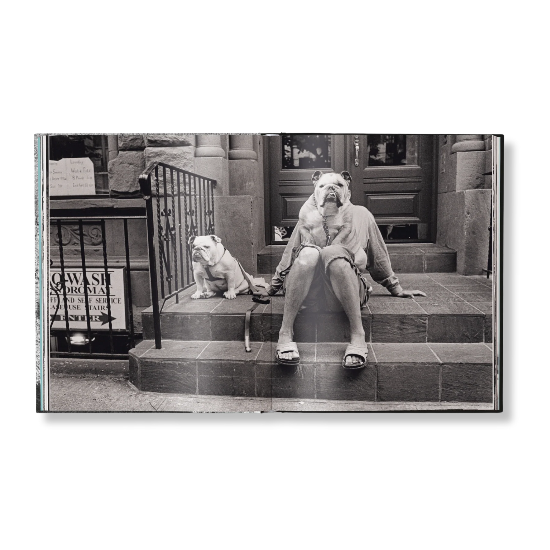 Elliott Erwitt - Last Laughs