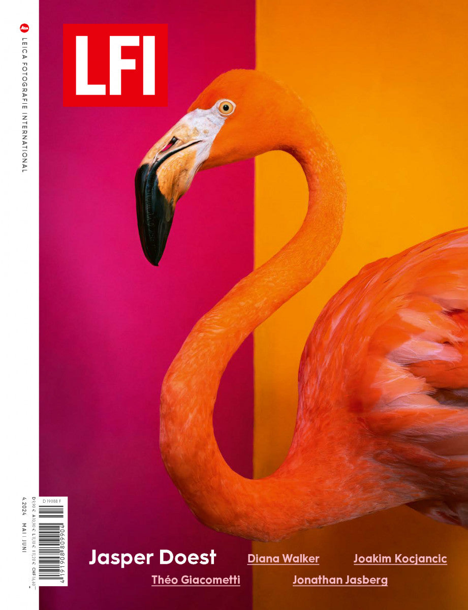 LFI: 4.2024 Jasper Doest